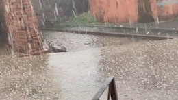 Weather Alert: राजस्थान में जोरदार बारिश के साथ ओलावृष्&zwj;ट&zwj;ि, जानें अगले दो द&zwj;िन के मौसम का हाल&nbsp;