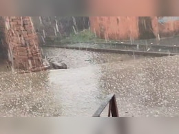 Weather Alert: राजस्थान में जोरदार बारिश के साथ ओलावृष्टि, जानें अगले दो दिन के मौसम का हाल  Weather Alert: राजस्थान में जोरदार बारिश के साथ ओलावृष्टि, जानें अगले दो दिन के मौसम का हाल