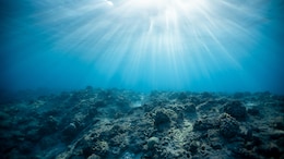Lost Civilisation Underwater? 140,000-Year-Old Homo Erectus Skull May Hold The Key To Secret