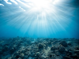 Lost Civilisation Underwater? 140,000-Year-Old Homo Erectus Skull May Hold The Key To Secret Lost Civilisation Underwater? 140,000-Year-Old Homo Erectus Skull May Hold The Key To Secret