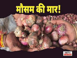 MP Weather: बिन मौसम बरसात! यहां किसानों की मेहनत हुई बेकार; भारतीय किसान संघ ने उठाई ये मांग MP Weather: बिन मौसम बरसात! यहां किसानों की मेहनत हुई बेकार; भारतीय किसान संघ ने उठाई ये मांग