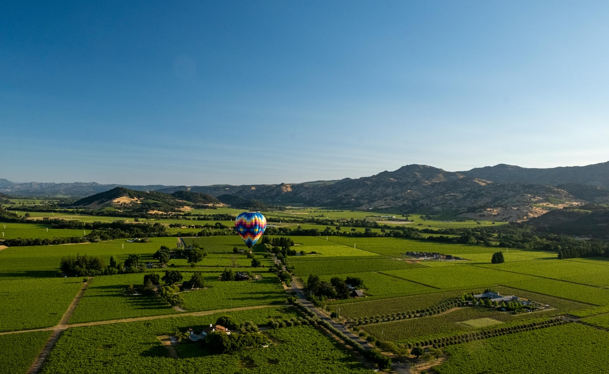 Los Olivos. Photo: Pexels Los Olivos. Photo: Pexels