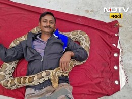 Bihar News: तब्बल 2000 सापांना जीवदान दिले, त्याचाच सर्पदंशाने जीव गेला; हृदयद्रावक घटना Bihar News: तब्बल 2000 सापांना जीवदान दिले, त्याचाच सर्पदंशाने जीव गेला; हृदयद्रावक घटना