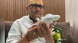 "Pakistan PR": BJP Slams Congress Over UP Leader's <i>Nimbu-Mirchi</i> Rafale Dig