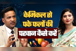 कैसे करें असली और नकली आम की पहचान? (How to identify if the mango is naturally or artificially ripened?) कैसे करें असली और नकली आम की पहचान? (How to identify if the mango is naturally or artificially ripened?)