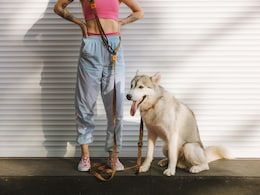 इन Boho pants ने मचा दी है धूम, हर इवेंट और फेस्टिवल पर देने वाली हैं आपका साथ इन Boho pants ने मचा दी है धूम, हर इवेंट और फेस्टिवल पर देने वाली हैं आपका साथ
