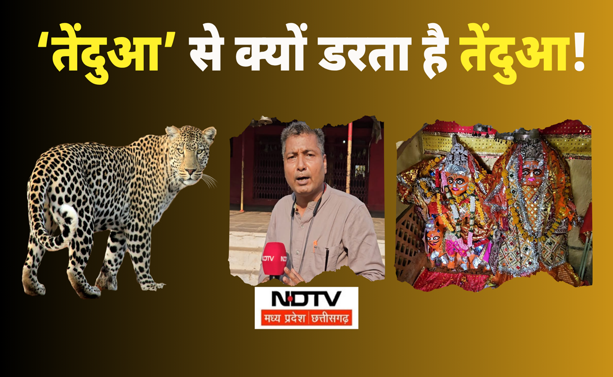 Leopard vs Tendua: शिवपुरी में तेंदुए का आतंक! क्या होता है जब इस गांव पहुंचती है Big Cat, सुनिए ये कहानी