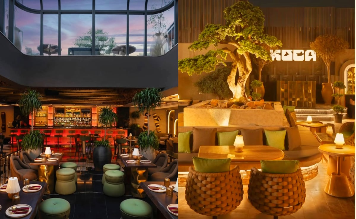 Latest and Breaking News on NDTV