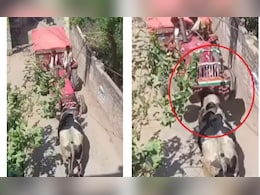 सांड ने रास्ते में आए ट्रैक्टर को मारी जोरदार टक्कर, नतीजा देख लोग बोले- ये तो देसी Hulk है सांड ने रास्ते में आए ट्रैक्टर को मारी जोरदार टक्कर, नतीजा देख लोग बोले- ये तो देसी Hulk है