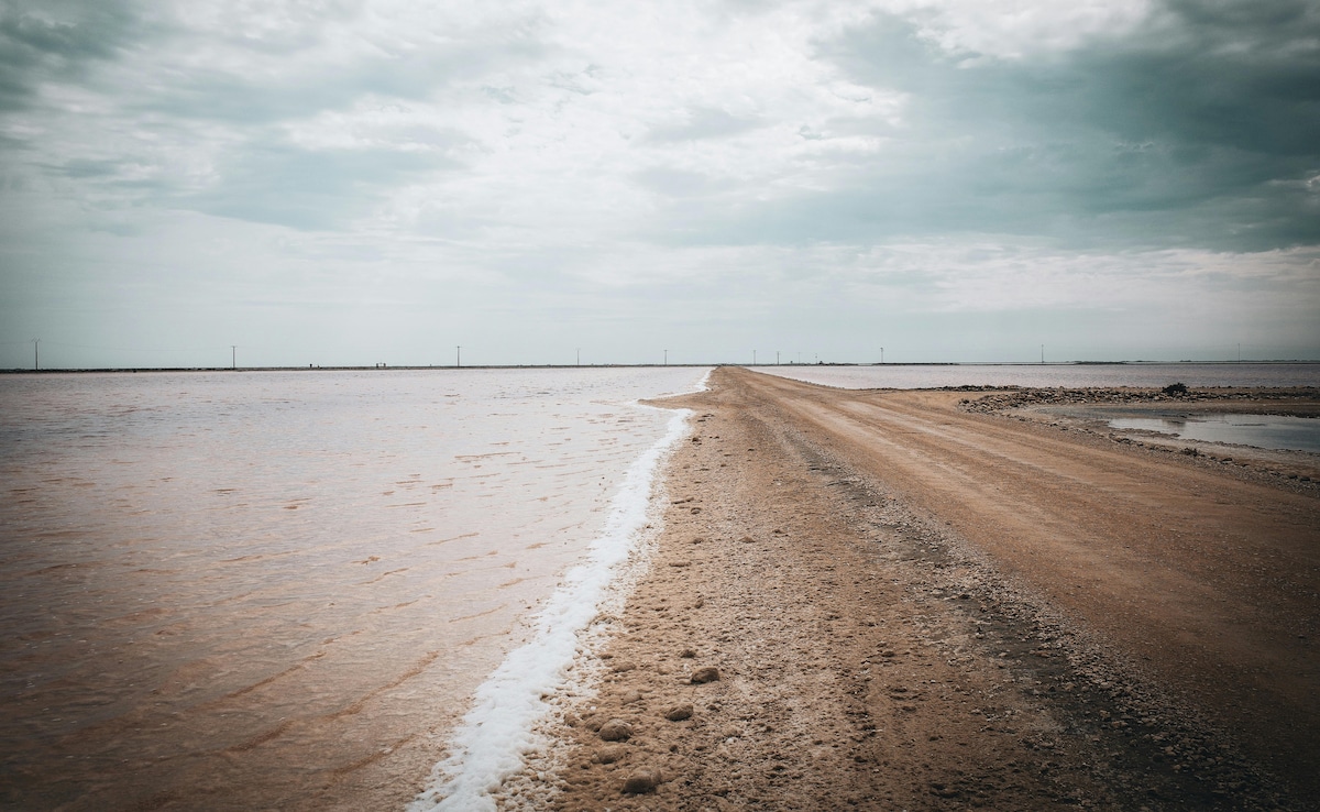 Latest and Breaking News on NDTV Latest and Breaking News on NDTV