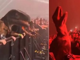 छैया-छैया... पर 'डायनासोर' का डांस देखा क्या? वायरल Video देख लोग शॉक्ड, बोले- आज भी वाइब है छैया-छैया... पर 'डायनासोर' का डांस देखा क्या? वायरल Video देख लोग शॉक्ड, बोले- आज भी वाइब है