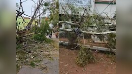 MP Monsoon : मध्य प्रदेश में बदला मौसम का मिजाज! शिवपुरी में आंधी तूफान के साथ हुई&nbsp;ओलावृष्टि&nbsp;