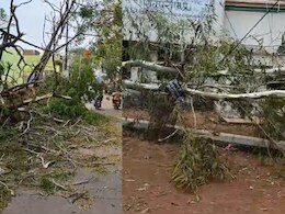 MP Monsoon : मध्य प्रदेश में बदला मौसम का मिजाज! शिवपुरी में आंधी तूफान के साथ हुई ओलावृष्टि 