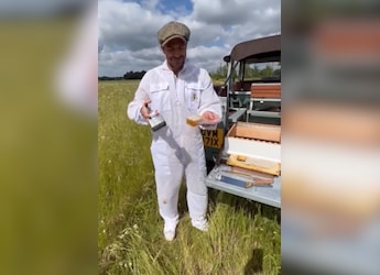 Watch: David Beckham Enters Full Beekeeper Mode And We Are Here For It Watch: David Beckham Enters Full Beekeeper Mode And We Are Here For It