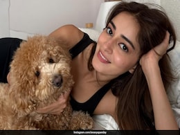 Ananya Panday Celebrates Selfie Sunday In A Natural Glam Look With Her Pet, Riot Ananya Panday Celebrates Selfie Sunday In A Natural Glam Look With Her Pet, Riot
