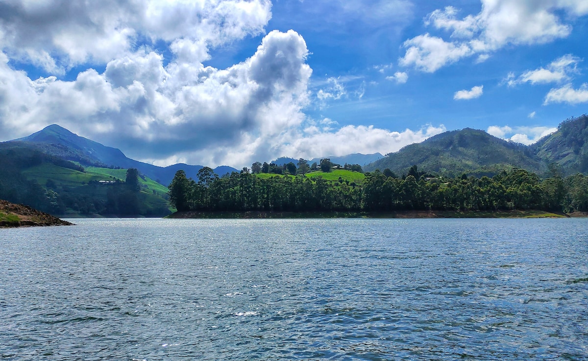 Photo: Unsplash Photo: Unsplash