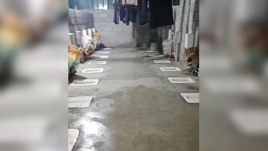 चीन का 'लाइन में टॉयलेट' ट्रेंड बना चर्चा का विषय, VIDEO देख छूट जाएगी हंसी