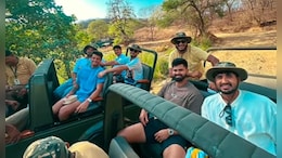 बाघों की अठखेलियां देखने रणथंभौर नेशनल पार्क पहुंचे पंजाब किंग्स के खिलाड़ी, देखें तस्वीरें