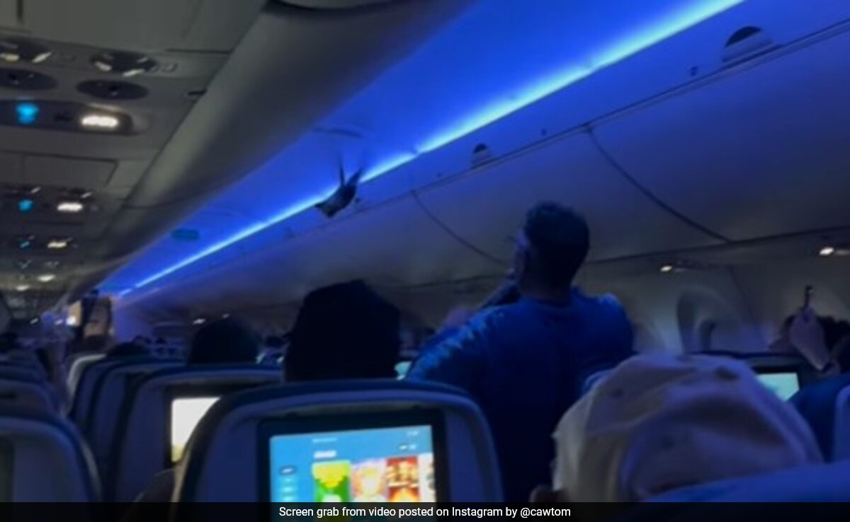 Ню Делхи Два гълъби на борда на полет на делта