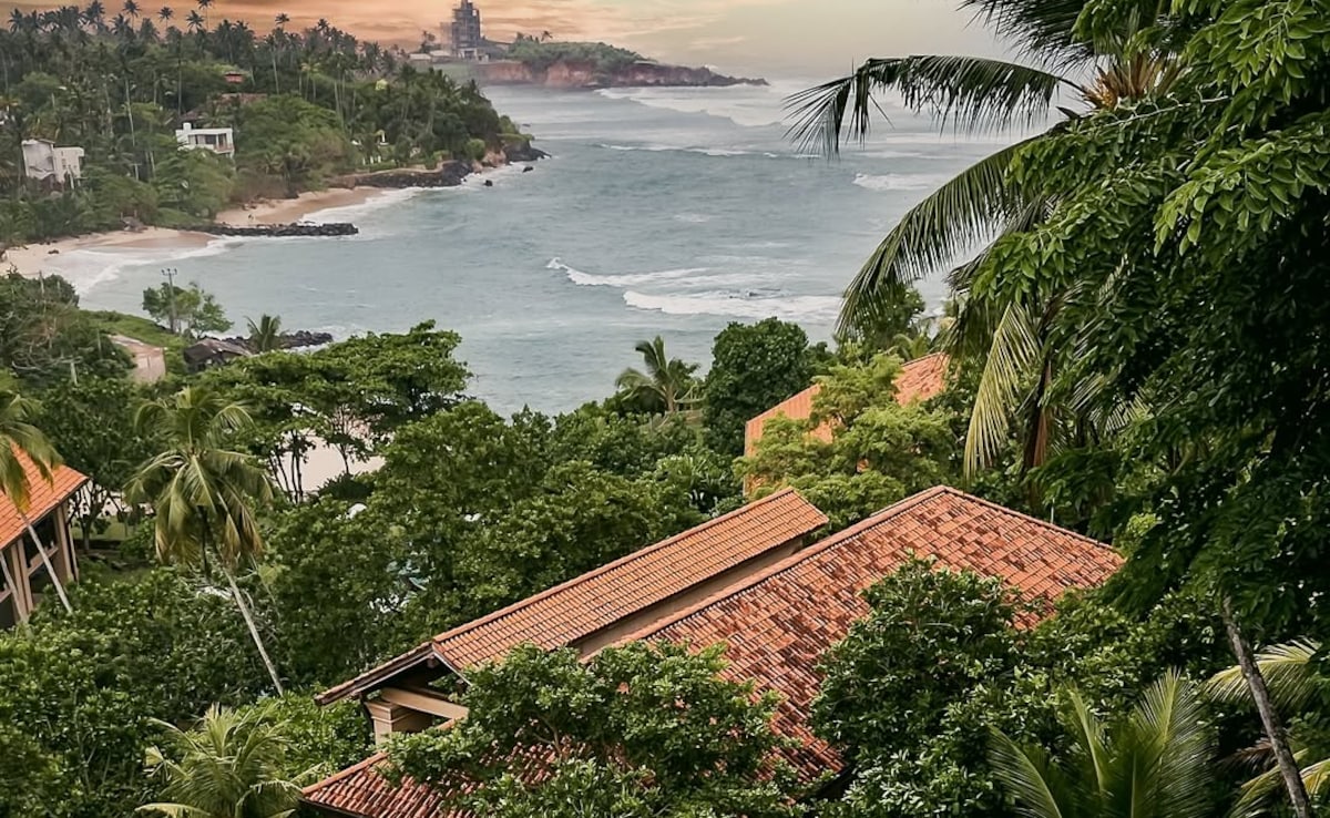 Latest and Breaking News on NDTV