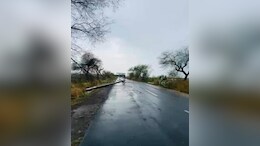 MP Weather : भोपाल में&nbsp;आंधी तूफान से जनजीवन प्रभावित, यहां गिरे बिजली के 18 खंभे; अनूपपुर में भी जोरदार बारिश