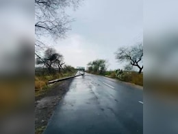 MP Weather : भोपाल में आंधी तूफान से जनजीवन प्रभावित, यहां गिरे बिजली के 18 खंभे; अनूपपुर में भी जोरदार बारिश MP Weather : भोपाल में आंधी तूफान से जनजीवन प्रभावित, यहां गिरे बिजली के 18 खंभे; अनूपपुर में भी जोरदार बारिश