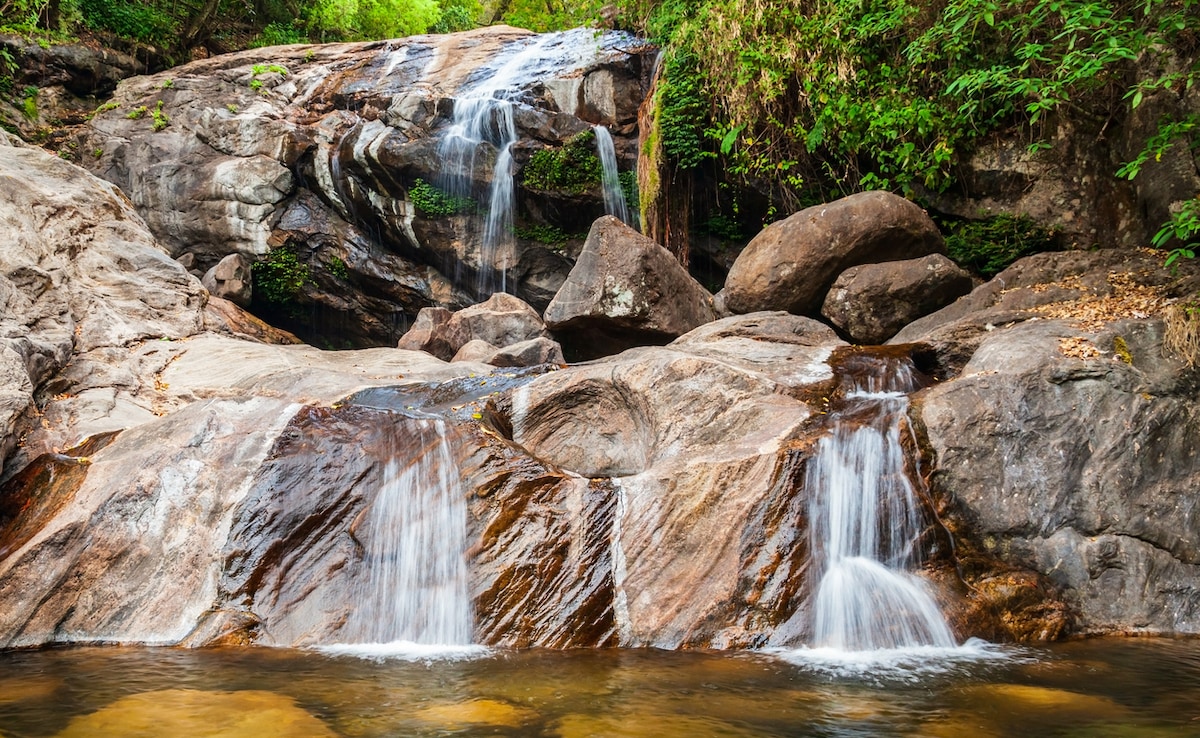 Photo: iStock Photo: iStock