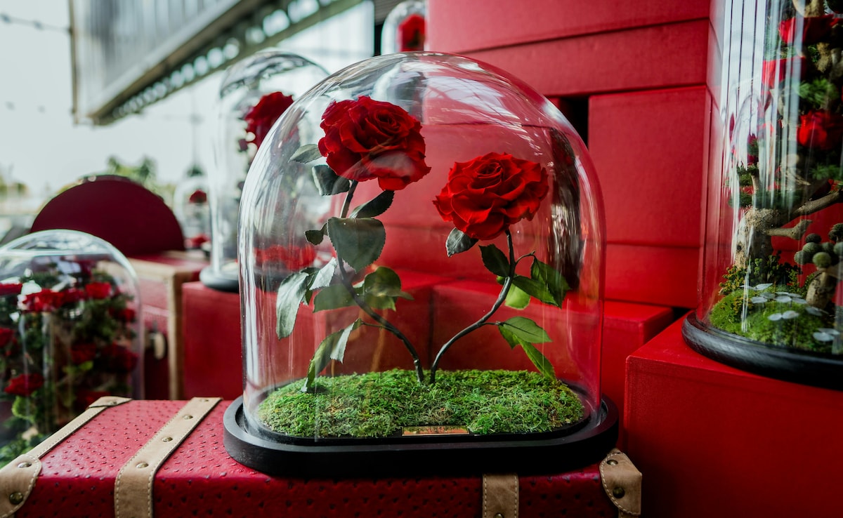 Latest and Breaking News on NDTV Latest and Breaking News on NDTV