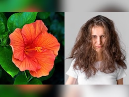 बरसात में उड़े-उड़े और बिखरे दिखते हैं बाल? Frizzy बालों से छुटकारा पाने के लिए लगा लें न्यूट्रिशनिस्ट का बताया ये Hair Mask बरसात में उड़े-उड़े और बिखरे दिखते हैं बाल? Frizzy बालों से छुटकारा पाने के लिए लगा लें न्यूट्रिशनिस्ट का बताया ये Hair Mask