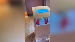 Watch: Video Of KFC Delivery By Robot In China Hotel Leaves Internet In Awe