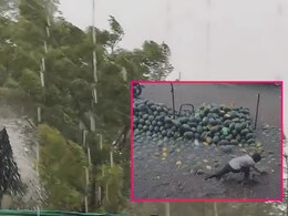 Rain Update : अवकाळी पावसाचा राज्यातील  21 जिल्ह्यांना फटका, प्राथमिक अहवालातून आली काळजीची बातमी Rain Update : अवकाळी पावसाचा राज्यातील  21 जिल्ह्यांना फटका, प्राथमिक अहवालातून आली काळजीची बातमी