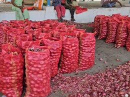 Onion Price: मुंबईत अवघ्या २४ रुपये किलोने मिळणार कांदा; केंद्र सरकारची नवी योजना काय?