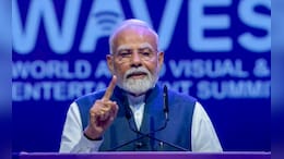 "Like Indian 'Khana', Indian 'Gaana' Will Also Become Popular": PM At WAVES Summit