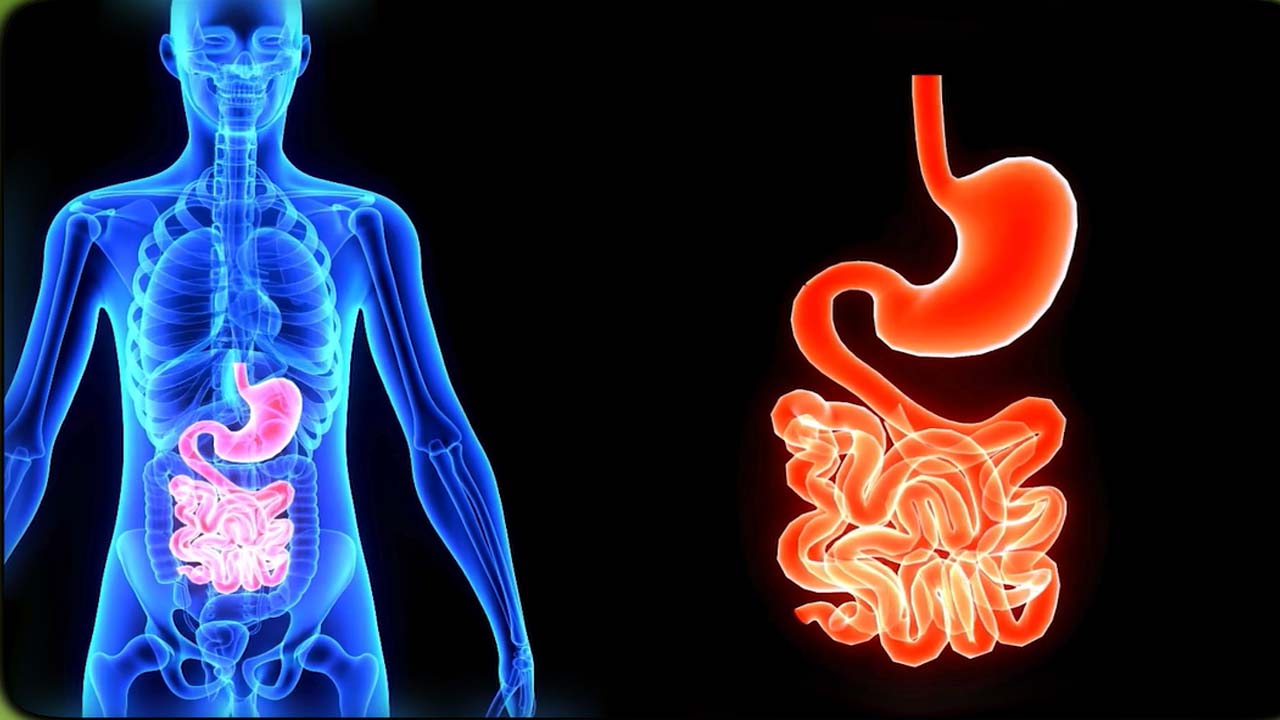 Protect Your Gut: Dr. Arora on Hand Hygiene and Gut Health