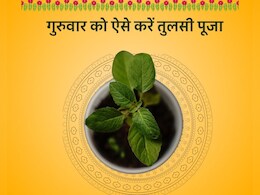 गुरुवार के दिन इस विधि से करें Tulsi Puja, जीवन में बनी रहेगी सुख-समृद्धि गुरुवार के दिन इस विधि से करें Tulsi Puja, जीवन में बनी रहेगी सुख-समृद्धि