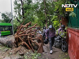 Delhi Rain News: गाढ झोपेत असतानाच मृत्यूने गाठलं! घरावर झाड कोसळून आईसह 3 मुलांचा दुर्दैवी अंत Delhi Rain News: गाढ झोपेत असतानाच मृत्यूने गाठलं! घरावर झाड कोसळून आईसह 3 मुलांचा दुर्दैवी अंत