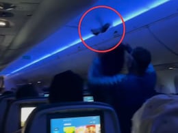 Video : विमानाच्या केबिनमध्ये घुसले कबुतर... 'जा, जा...' करताना क्रू मेंबर्सची पळापळ