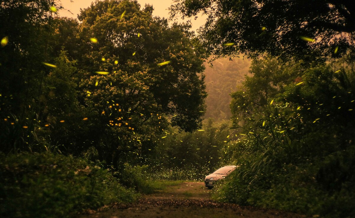 Photo: Unsplash Photo: Unsplash