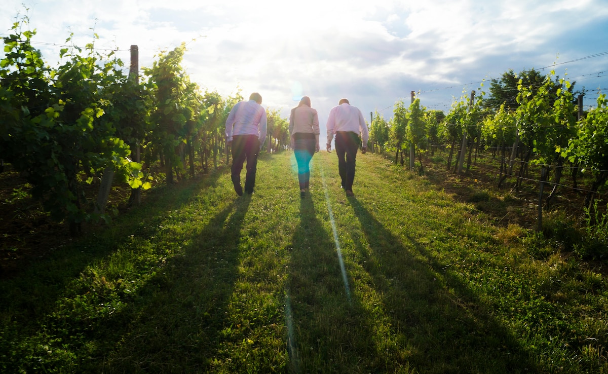 Wine trails are the new trend in luxury travel Wine trails are the new trend in luxury travel