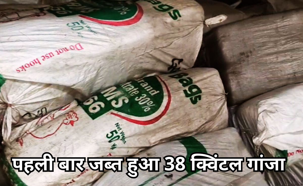 Marijuana Recovered: खेत में लावारिस मिला 38 क्विंटल गांजे का जखीरा, 3 करोड़ बताई जा रही है बाजार कीमत