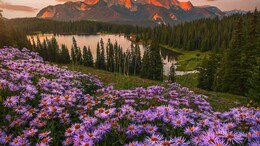 6 Underrated Spring Getaways In The United States You'll Wish You Knew About Sooner