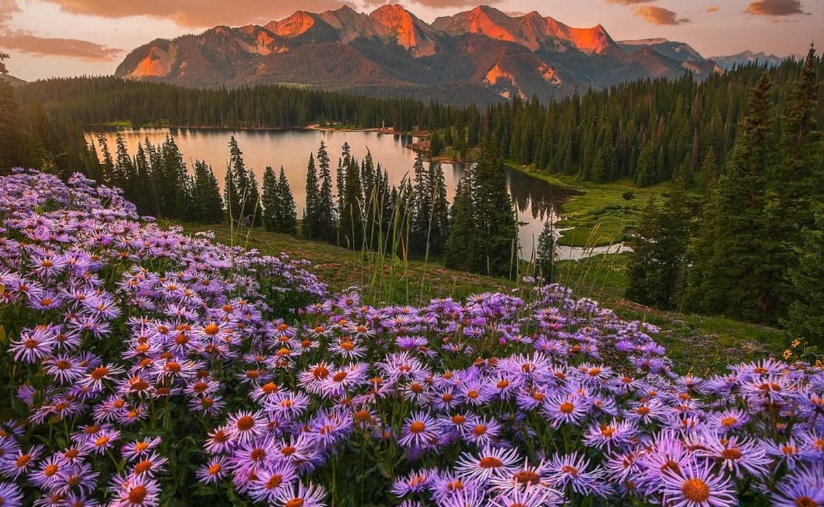 пролетта в Съединените щати Получават много свръх и правилно