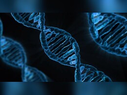 एआई की मदद से आनुवंशिक रोगों की पहचान और उपचार में आ सकते हैं क्रांतिकारी बदलाव एआई की मदद से आनुवंशिक रोगों की पहचान और उपचार में आ सकते हैं क्रांतिकारी बदलाव