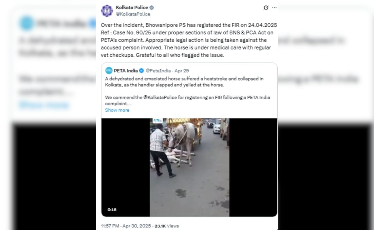 Latest and Breaking News on NDTV Latest and Breaking News on NDTV