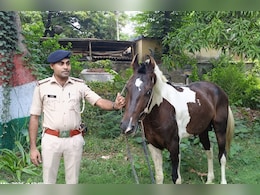 VIDEO : बिहार में पुलिस ने घोड़े को किया 'गिरफ्तार', वजह जानकर हो जाएंगे हैरान VIDEO : बिहार में पुलिस ने घोड़े को किया 'गिरफ्तार', वजह जानकर हो जाएंगे हैरान