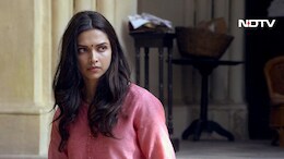 Blog | A Decade Later, Why <i>Piku</i> Still Hurts