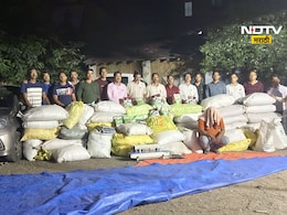 Wardha News: कृषी विभागाची धाड, तब्बल 50 लाखांचे बोगस बियाणे जप्त, कुठे झाली कारवाई? Wardha News: कृषी विभागाची धाड, तब्बल 50 लाखांचे बोगस बियाणे जप्त, कुठे झाली कारवाई?