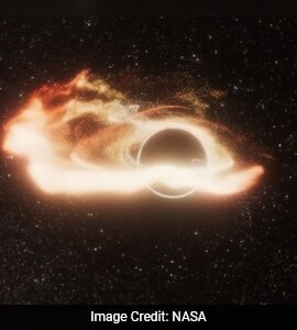 Black Hole Ripping Apart A Star