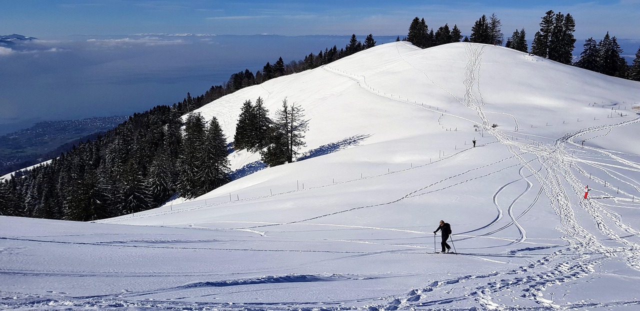 Cross-Country Skier Dies In France After 20-Metre Fall