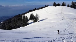 5 Skiers Found Dead In Southwest Switzerland
